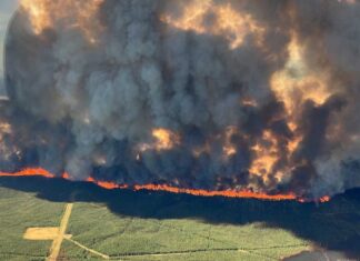 BC州の非常事態宣言、山火事と干ばつのため2週間延長に Wildfire in Donnie Creek, BC on May 28, 2023. Photo from BC Wildfire Service Twitter