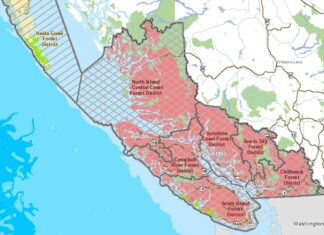 BC州南西部にキャンプファイヤー禁止令 赤色で記された地域が、キャンプファイヤーが禁止となった地域。Map from BC government website