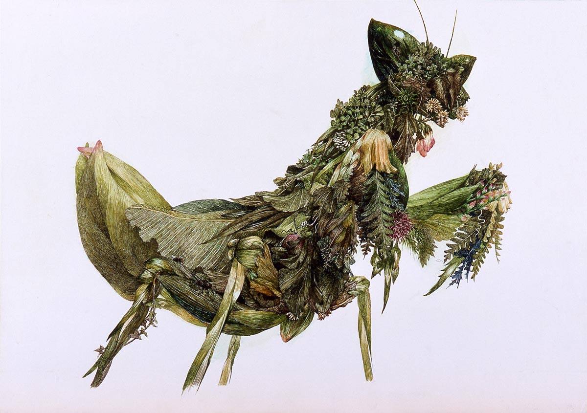 Manabu Ikeda, くさかまきり Grass Mantis, 2004 pen and acrylic ink on paper 23 × 29 cm Chazen Museum of Art, University of Wisconsin–Madison John H. Van Vleck Endowment Fund purchase, 2013.25 Photo: Kei Miyajima