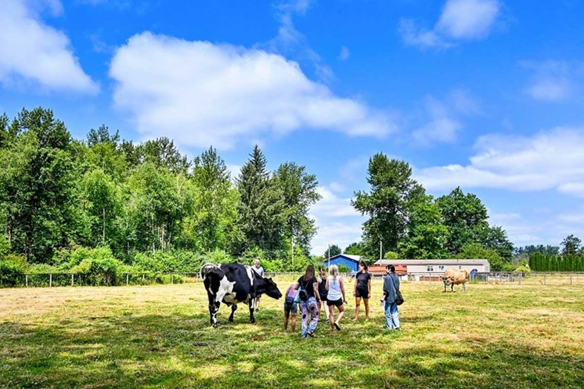 ファームツアーの様子。2023年7月8日、BC州ラングレー市、The Happy Herd Farm Sanctuary。Photo by ©Koichi Saito