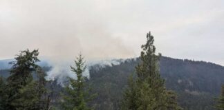 山火事の影響でミュージックフェスティバル中止に ペンティクトンから北西にあるRice Roadの山火事。Photo from BC Wildfire Service Twitter