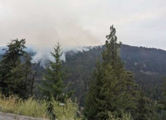 山火事の影響でミュージックフェスティバル中止に ペンティクトンから北西にあるRice Roadの山火事。Photo from BC Wildfire Service Twitter