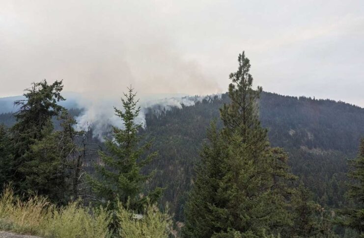 山火事の影響でミュージックフェスティバル中止に ペンティクトンから北西にあるRice Roadの山火事。Photo from BC Wildfire Service Twitter