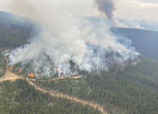 BC州政府、ウエスト・ケローナへの渡航規制も解除 順調に鎮火活動が進んでいるthe Trumpeter Mountain (VA1465) wildfire, southwest of Anahim Lake. 2023年8月22日。Photo from BC Wildfire Service Twitter