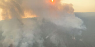 シュスワップで当局と一部住民が衝突、同地区のハイウェイ1は再開 The McDougall Creek wildfire (K52767) 10 km northwest of West Kelowna; Photo from BC Wildfire Twitter