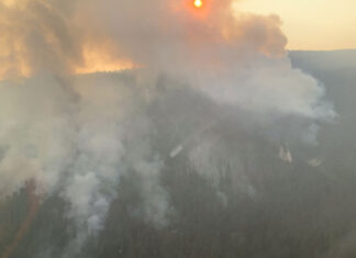 シュスワップで当局と一部住民が衝突、同地区のハイウェイ1は再開 The McDougall Creek wildfire (K52767) 10 km northwest of West Kelowna; Photo from BC Wildfire Twitter