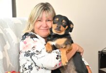 バンクーバーの動物福祉を考える(後編)「BC SPCAを北米最大の動物保護施設に成長させた成功秘話」 代表Jodiさん、取材が終わるのを辛抱強く待っていてくれた愛犬のBiggieと一緒に。2023年8月21日、BC SPCA Vancouver。Photo by ©Koichi Saito