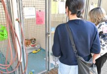 北米最大の動物保護施設BC SPCA バンクーバーの動物福祉を考える(前編)「バンクーバーのペット事情とBC SPCAの活動」 Jodiさんから話を聞いた後、施設内を見学。寄付をするとスポンサーとして名前を掲示することができるサービスも。2023年8月21日、BC SPCA Vancouver。Photo by ©Koichi Saito