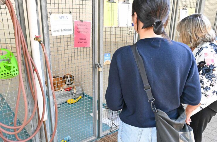 北米最大の動物保護施設BC SPCA バンクーバーの動物福祉を考える(前編)「バンクーバーのペット事情とBC SPCAの活動」 Jodiさんから話を聞いた後、施設内を見学。寄付をするとスポンサーとして名前を掲示することができるサービスも。2023年8月21日、BC SPCA Vancouver。Photo by ©Koichi Saito