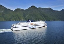 BCフェリーとザトウクジラが衝突の可能性 The Northern Expedition from BC Ferry Website