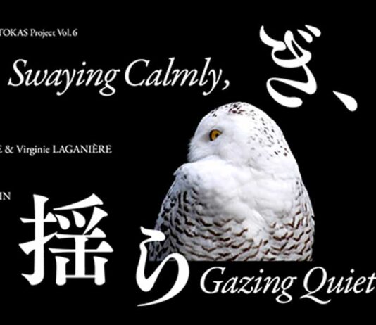 アートで日加交流「都市と文化を見つめるTOKAS とケベック州との交流記念展」東京で開催