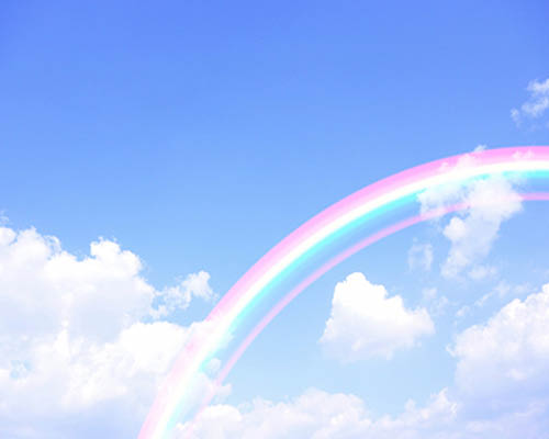 spot_img