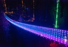 キャピラノサスペンションブリッジ、クリスマスイルミネーション“Canyon Lights”今年も始まる Canyon Lights at Capilano Suspension Bridge Park; Photo courtesy of Capilano Suspension Bridge Park