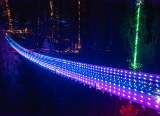 キャピラノサスペンションブリッジ、クリスマスイルミネーション“Canyon Lights”今年も始まる Canyon Lights at Capilano Suspension Bridge Park; Photo courtesy of Capilano Suspension Bridge Park