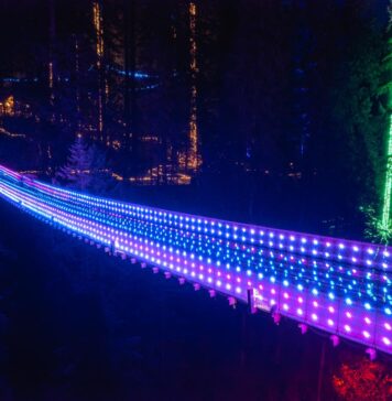 キャピラノサスペンションブリッジ、クリスマスイルミネーション“Canyon Lights”今年も始まる Canyon Lights at Capilano Suspension Bridge Park; Photo courtesy of Capilano Suspension Bridge Park