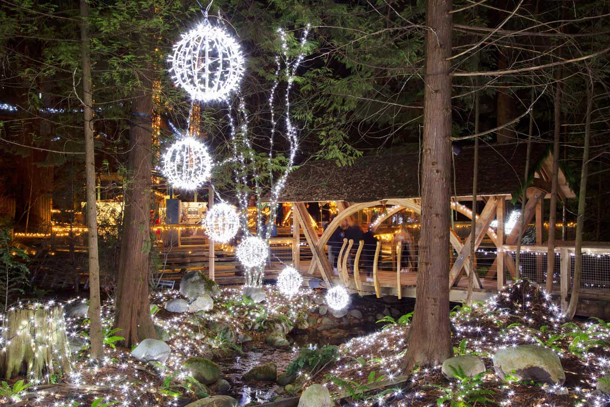 Canyon Lights at Capilano Suspension Bridge Park; Rain forest. Photo courtesy of Capilano Suspension Bridge Park