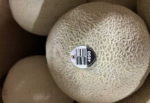 カンタロープが原因とみられるサルモネラ菌で1人死亡、新たにリコール商品を追加 Photo from the Canadian Food Inspection Agency website