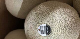 カンタロープが原因とみられるサルモネラ菌で1人死亡、新たにリコール商品を追加 Photo from the Canadian Food Inspection Agency website