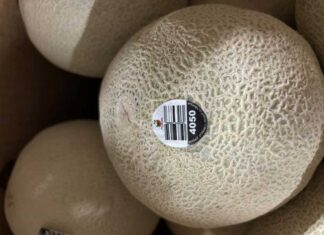 BC州も対象、サルモネラ汚染のカンタロープをリコール Photo from the Canadian Food Inspection Agency website