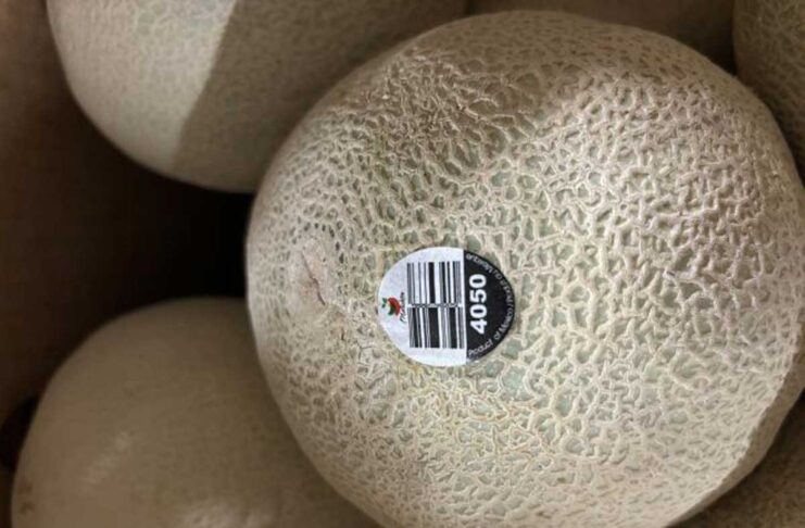 カンタロープが原因とみられるサルモネラ菌で1人死亡、新たにリコール商品を追加 Photo from the Canadian Food Inspection Agency website