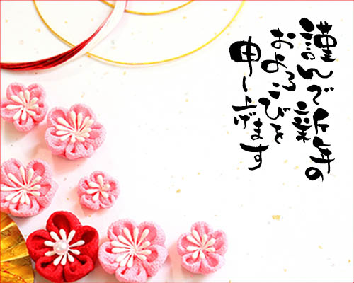 spot_img