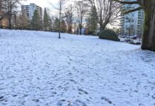 2月最初の週末はバンクーバーでも雪に警戒、週明けには氷点下に メトロバンクーバーにも雪が...。File photo by Japan Canada Today