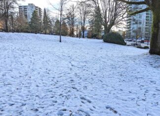 2月最初の週末はバンクーバーでも雪に警戒、週明けには氷点下に メトロバンクーバーにも雪が...。File photo by Japan Canada Today