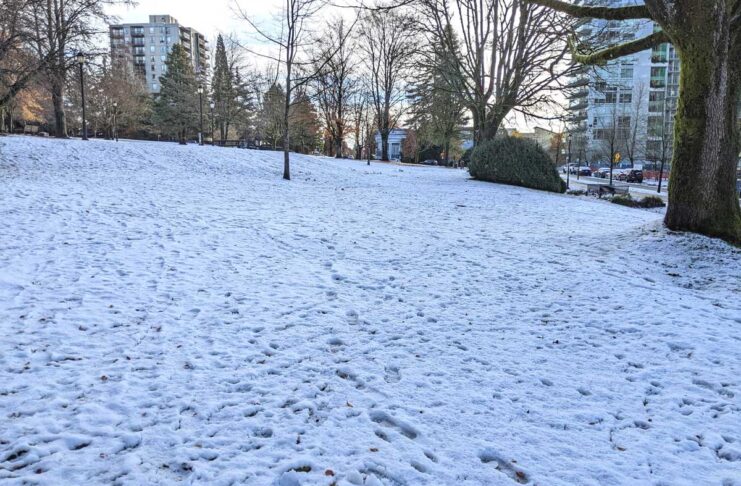 2月最初の週末はバンクーバーでも雪に警戒、週明けには氷点下に メトロバンクーバーにも雪が...。File photo by Japan Canada Today