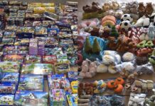 大量の盗品レゴとジェリーキャットがリッチモンド市で見つかる 押収されたレゴ(左)とジェリーキャット。Photo from Richmond RCMP website