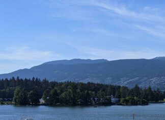 スタンレーパークの樹木16万本伐採に反対の声高まる ダウンタウンバンクーバーから臨むスタンレーパーク。File Photo by Japan Canada Today