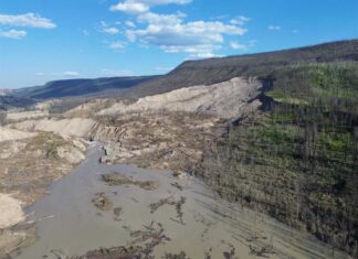 BC州中央部で大規模な地滑り、チルコティン川からフレイザー川にがれきが流出 BC州中央部を流れるチルコティン川、ダムが決壊してがれきが流れ出している。2024年8月7日。Photo courtesy of BC government