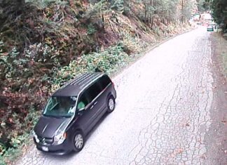 メトロバンクーバーの82歳女性が行方不明、車2台の写真を公開 ホワイトハウスさんが運転していた車。Photo from Langley RCMP website