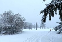 バンクーバーが今冬初の積雪に 雪に覆われたバーナビー・マウンテン。ソリ遊びを楽しむ人々も見られた。2025年2月2日。Photo by Japan Canada Today