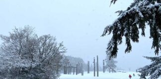 バンクーバーが今冬初の積雪に 雪に覆われたバーナビー・マウンテン。ソリ遊びを楽しむ人々も見られた。2025年2月2日。Photo by Japan Canada Today