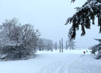 バンクーバーが今冬初の積雪に 雪に覆われたバーナビー・マウンテン。ソリ遊びを楽しむ人々も見られた。2025年2月2日。Photo by Japan Canada Today