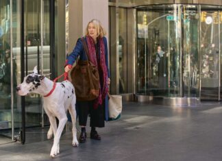 The Friend「彼の残した大きな愛」 2025 Mongrel Media/ Star PR