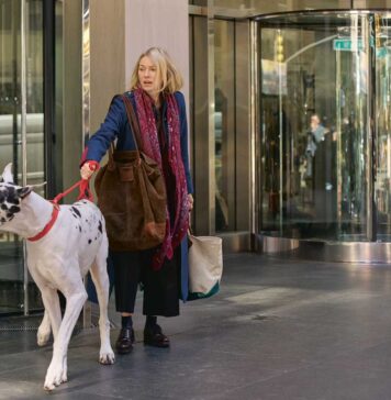 The Friend「彼の残した大きな愛」 2025 Mongrel Media/ Star PR