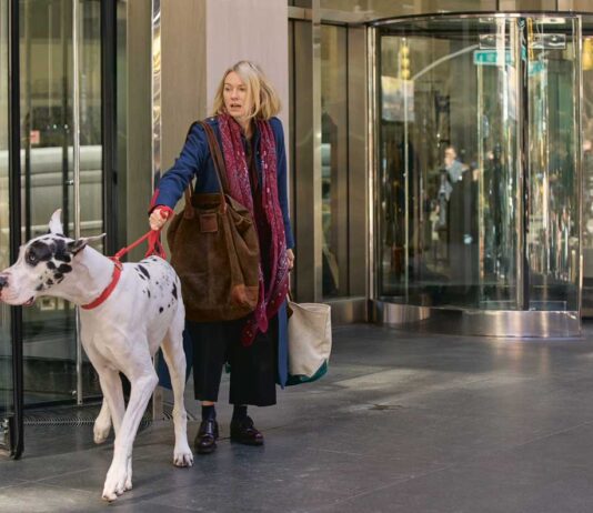 The Friend「彼の残した大きな愛」 2025 Mongrel Media/ Star PR