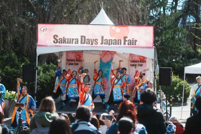 華やかな衣装でよさこいを披露するAppare Yosakoi Vancouverのパフォーマーたち。2025年4月13日、バンクーバー市。Photo by Hirotomo Nijima