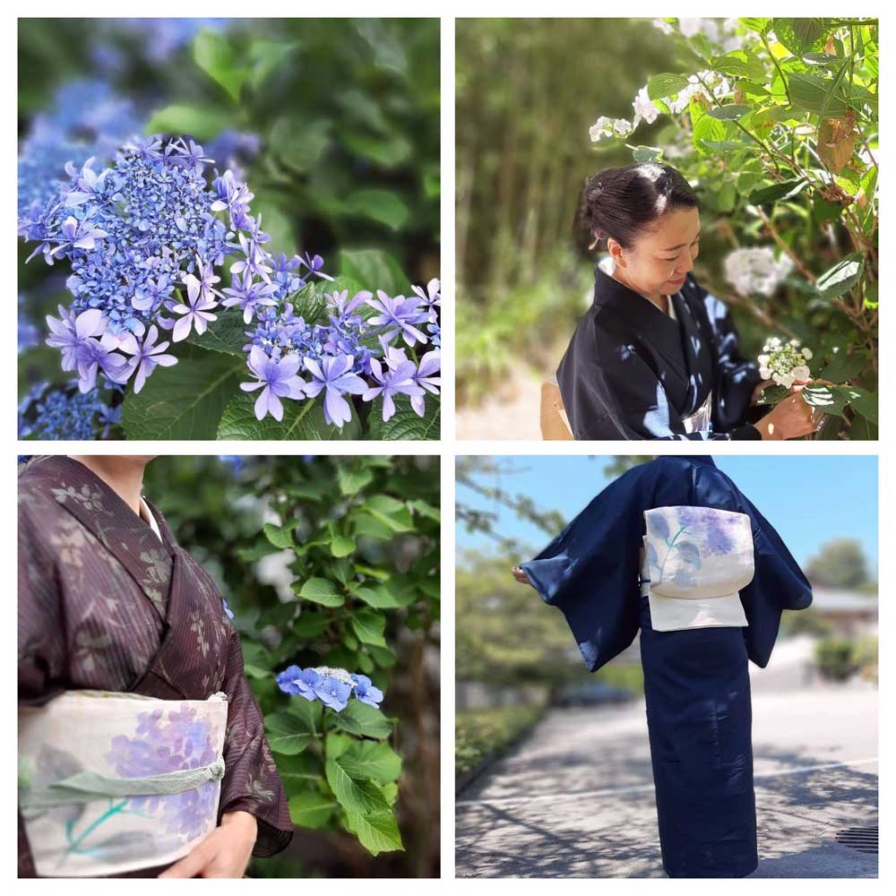 「紫陽花柄の名古屋帯」コナともこ
