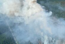 メトロバンクーバーの北部で山火事が拡大、人為的原因か ブリティッシュ・コロンビア州スコーミッシュのドライデンクリークで発生した山火事。2025年6月11日。Photo from Squamish Fire Rescue Facebook