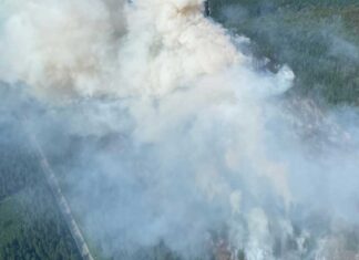 メトロバンクーバーの北部で山火事が拡大、人為的原因か ブリティッシュ・コロンビア州スコーミッシュのドライデンクリークで発生した山火事。2025年6月11日。Photo from Squamish Fire Rescue Facebook