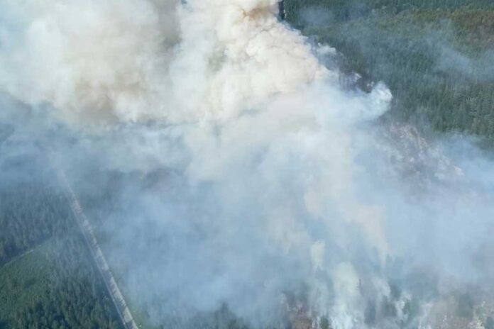 ブリティッシュ・コロンビア州スコーミッシュのドライデンクリークで発生した山火事。2025年6月11日。Photo from Squamish Fire Rescue Facebook