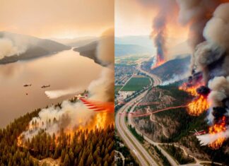 AI生成による山火事画像が増加、BCWSが注意を呼びかけ BC Wildfire Serviceが共有したAIで生成された山火事画像2枚。From BC Wildfire Service Facebook