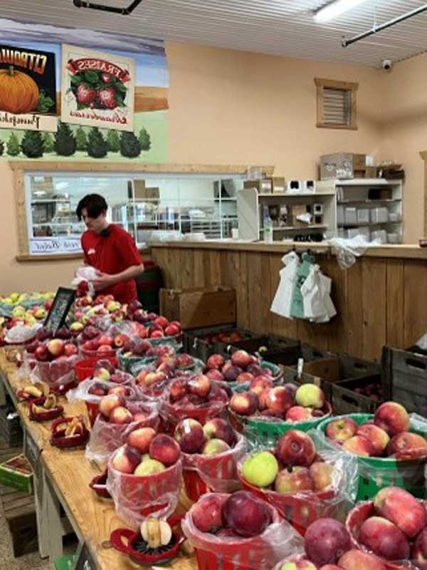 農園での林檎狩りと販売所