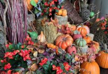 モントリオールのアルバム10月