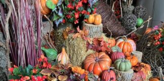 モントリオールのアルバム10月