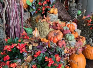 モントリオールのアルバム10月