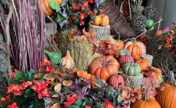 モントリオールのアルバム10月