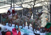 モントリオールからのアルバム11月